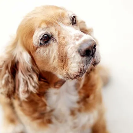 Marconi's Seaside * Mégas Yialós-Nítes