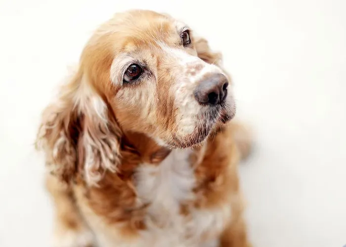 Marconi's Seaside * Mégas Yialós-Nítes